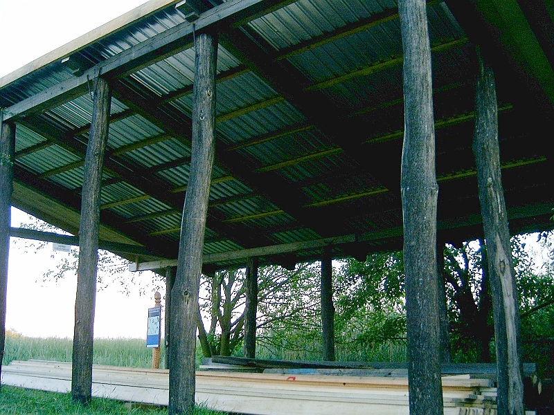 20100605 032.jpg